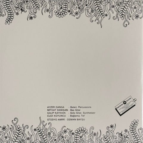 Edip Akbayram, Dostlar – Nedir Ne Değildir? LP PLAK