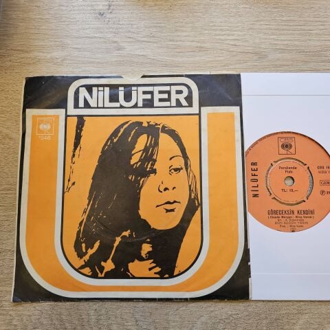Nilüfer – Göreceksin Kendini / Aldanırım Sanma 45LİK PLAK