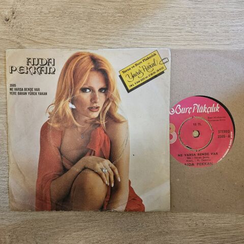 Ajda Pekkan – Ne Varsa Bende Var / Yere Bakan Yürek Yakan 45LİK  PLAK