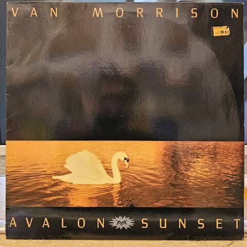 Van Morrison – Avalon Sunset LP PLAK