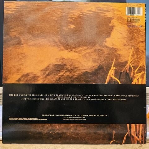 Van Morrison – Avalon Sunset LP PLAK