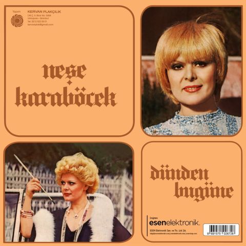 Neşe Karaböcek - Dünden Bugüne LP PLAK