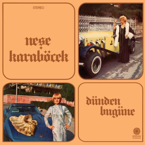 Neşe Karaböcek - Dünden Bugüne LP PLAK