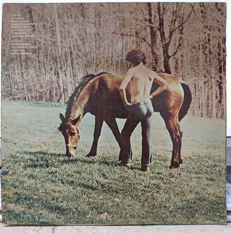 Arlo Guthrie – Washington County LP PLAK