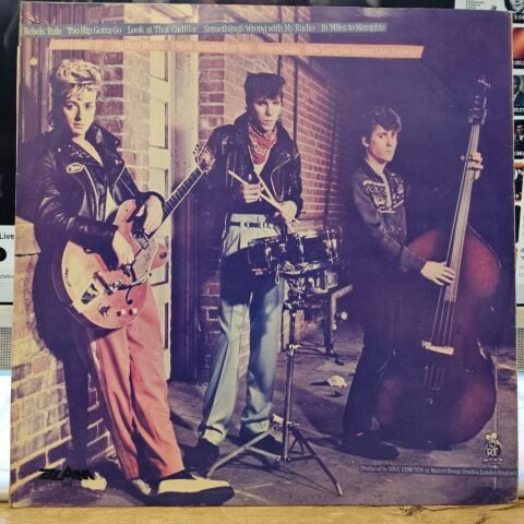 Stray Cats – Rant N' Rave With The Stray Cats LP PLAK