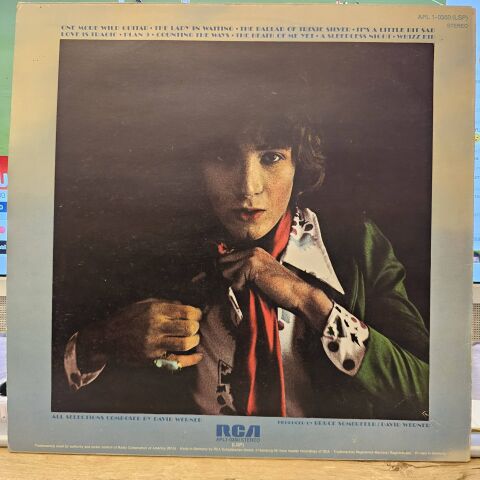 David Werner – Whizz Kid LP PLAK