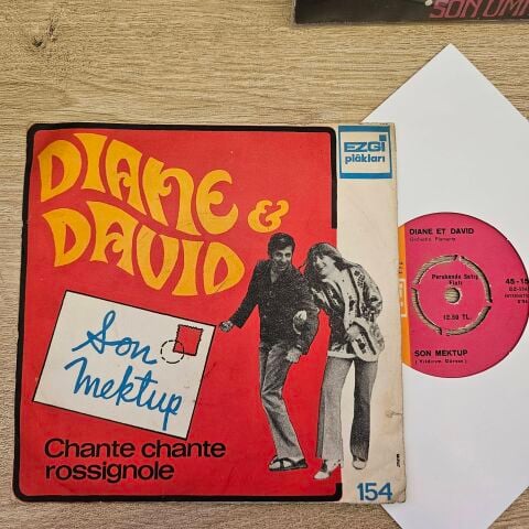 DIANE DAVID - SON MEKTUP 45LİK PLAK