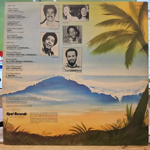 Various – Wildflower Roots LP PLAK