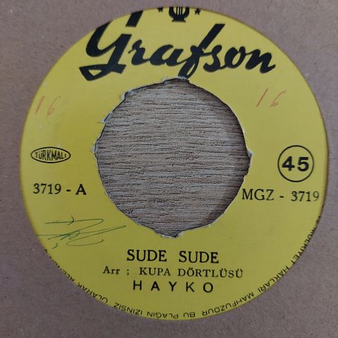 HAYKO - SUDE SUDE 45LİK PLAK