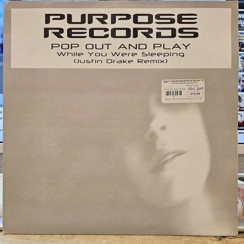 Pop Out And Play – While You Were Sleeping LP PLAK
