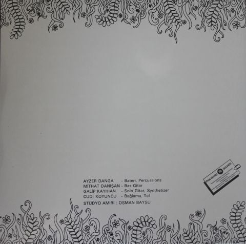 EDİP AKBAYRAM - NEDİR NE DEĞİLDİR LP PLAK