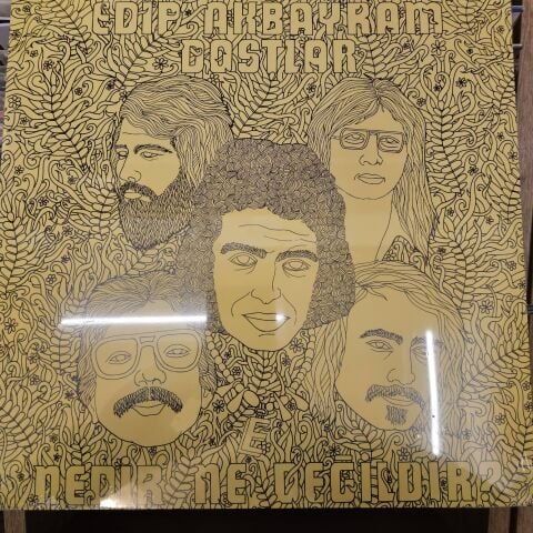 EDİP AKBAYRAM - NEDİR NE DEĞİLDİR LP PLAK