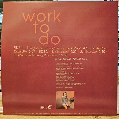 Vanessa Williams Featuring Black Sheep – Work To Do LP PLAK