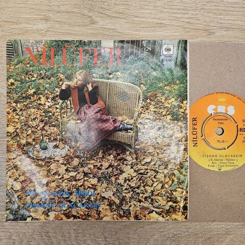 Nilüfer – Ne Olacak Şimdi / Pişman Olacaksın 45LİK PLAK