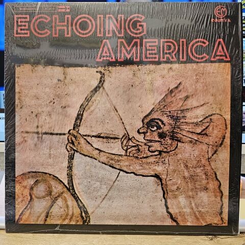 Stefano Torossi / Giovanni Tommaso – Echoing America LP PLAK