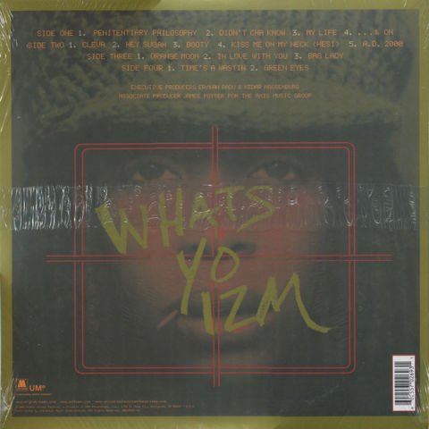 Erykah Badu – Mama's Gun LP PLAK