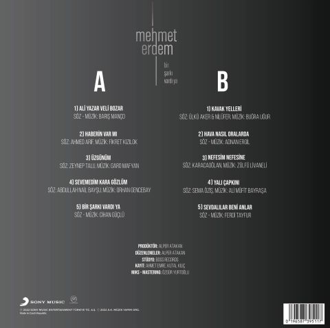 MEHMET ERDEM BİR ŞARKI VARDI YA LP
