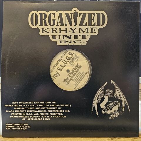 Troy S.L.U.G.S. – What U Hold Down / Gotta Shine / Cold Streets LP PLAK