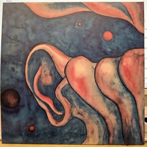 King Crimson – In The Court Of The Crimson King (An Observation By King Crimson) LP PLAK