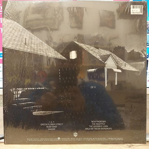 Donald Fagen – The Nightfly LP PLAK