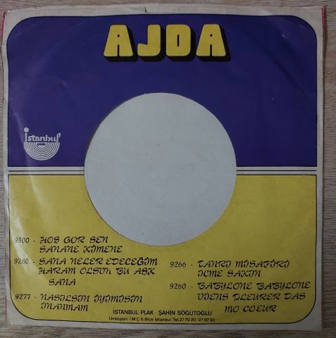 Ajda Pekkan – Hoş Gör Sen / Sana Ne, Kime Ne 45LİK PLAK