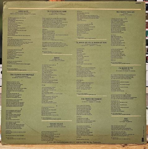 Julio Iglesias – Aimer La Vie LP PLAK