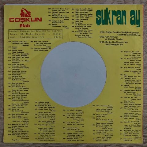 Şükran Ay – Kıskanırım 45LİK PLAK