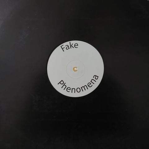 Armand Van Helden – Fake Phenomena LP PLAK