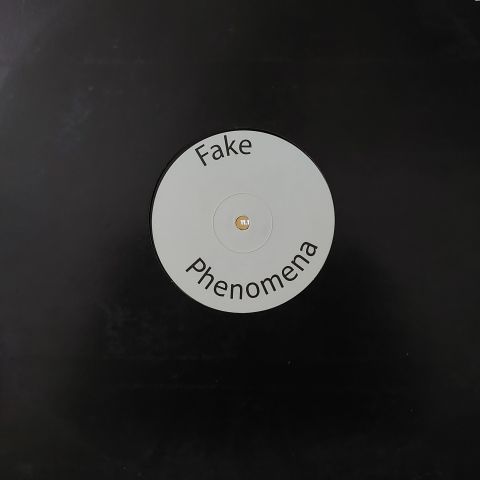Armand Van Helden – Fake Phenomena LP PLAK
