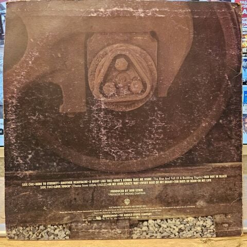 Rod Stewart – Rod Stewart LP PLAK