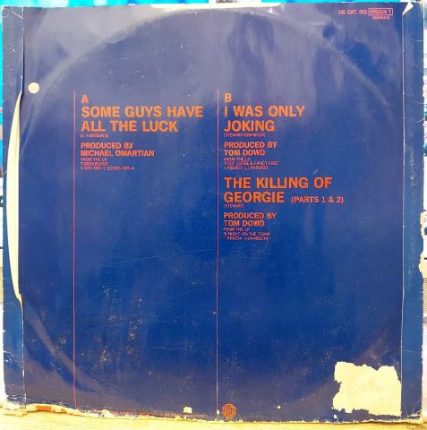 Rod Stewart – Some Guys Have All The Luck LP PLAK