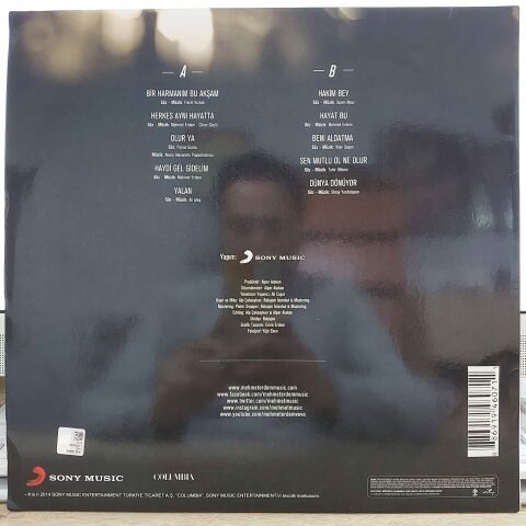 MEHMET ERDEM - HERKES AYNI HAYATTA LP PLAK