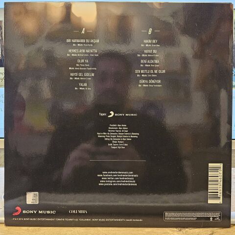 MEHMET ERDEM - HERKES AYNI HAYATTA LP PLAK