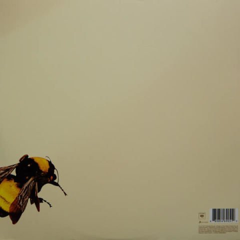 TYLER - THE CREATOR SCUM FUCK FLOWER BOY LP PLAK