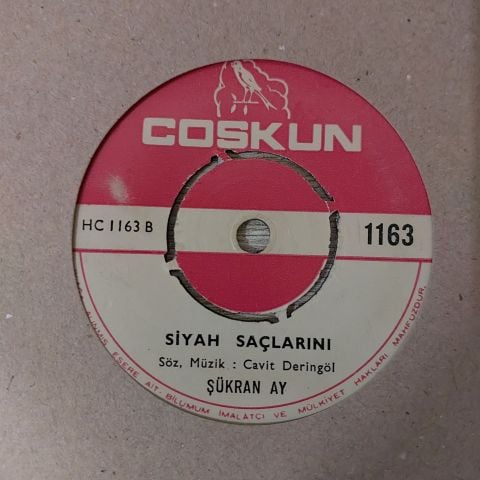 ŞÜKRAN AY - SİYAH SAÇLARINI 45LİK PLAK