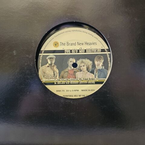 THE BRAND YOU ARE THE UNİVERSE LP PLAK