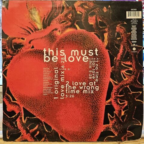 Zoom – This Must Be Love LP PLAK