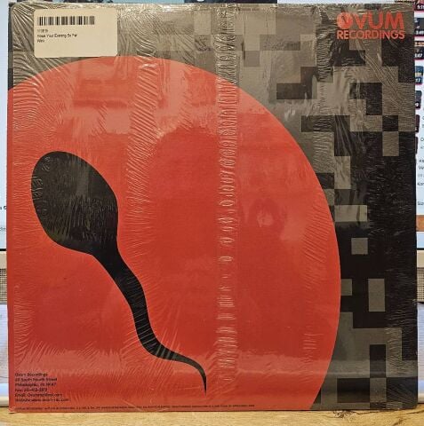 Wink Featuring Lil Louis – How's Your Evening So Far? LP PLAK