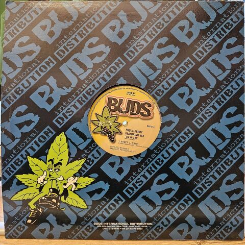 Paula Perry & The Lost Boyz – B.Q.E. LP PLAK
