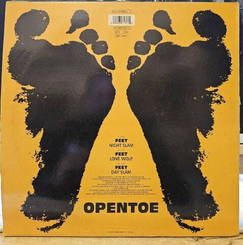 Sandals – Feet LP PLAK
