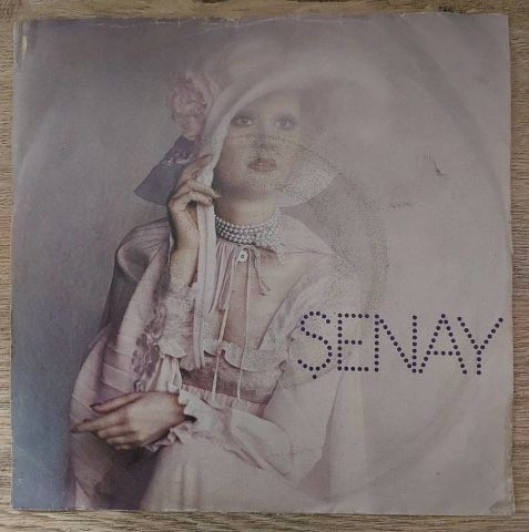 Şenay – Varlar Yoklar / Dön Artık 45LİK PLAK