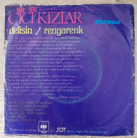 Cici Kızlar – Delisin / Rengarenk 45LİK PLAK